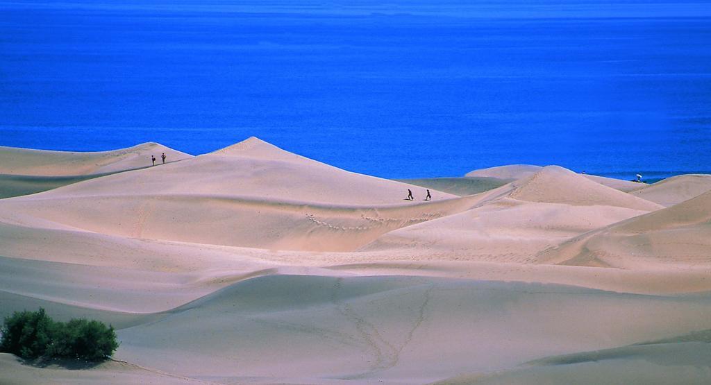 Oasis Playa Maspalomas Maspalomas  Exteriér fotografie